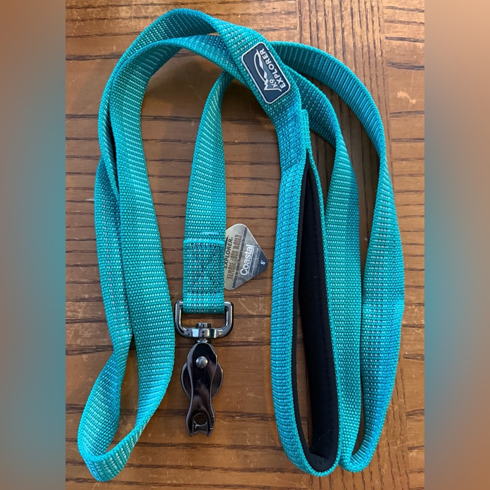 Teal Dog Leash